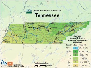 the_wildlife_group_hardiness_zones_tennessee